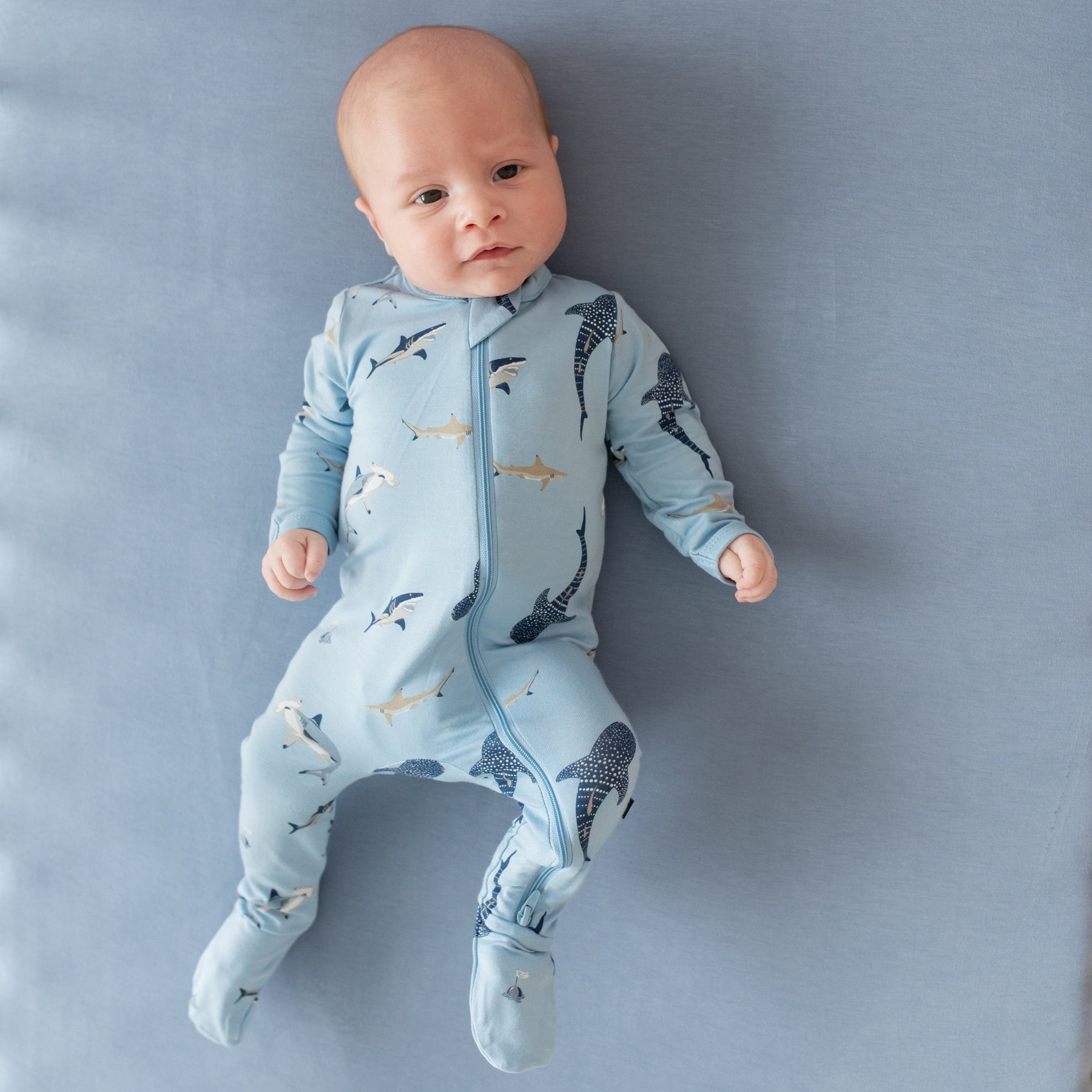 Zippered Sleepsuit in Stream Shark