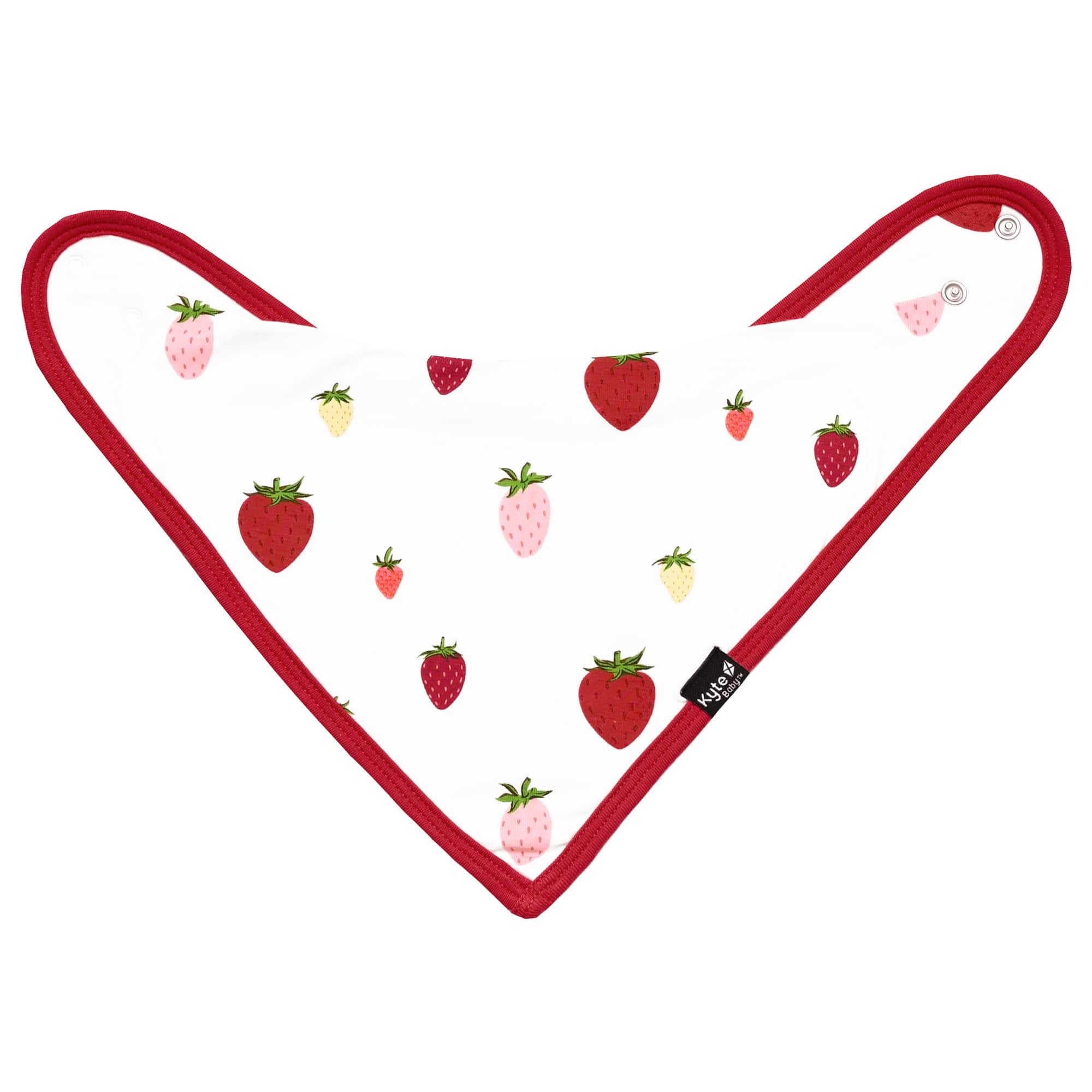 Kyte BABY Bib Strawberry Bib in Strawberry